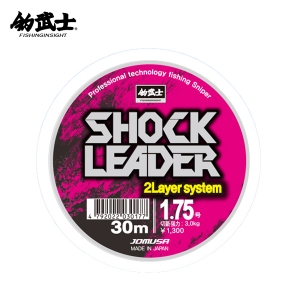  ũ V2 ķηī 30m ǰ̹